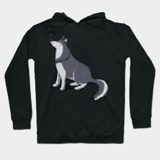 Husky Hoodie